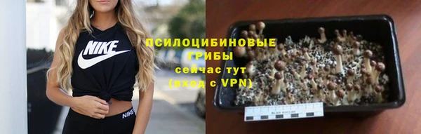 хмурый Горняк
