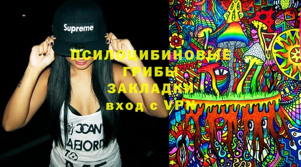 хмурый Горняк