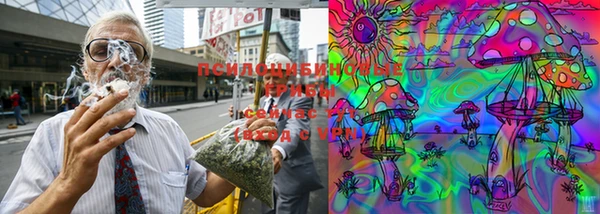 хмурый Горняк
