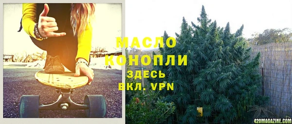 гашик Мегион