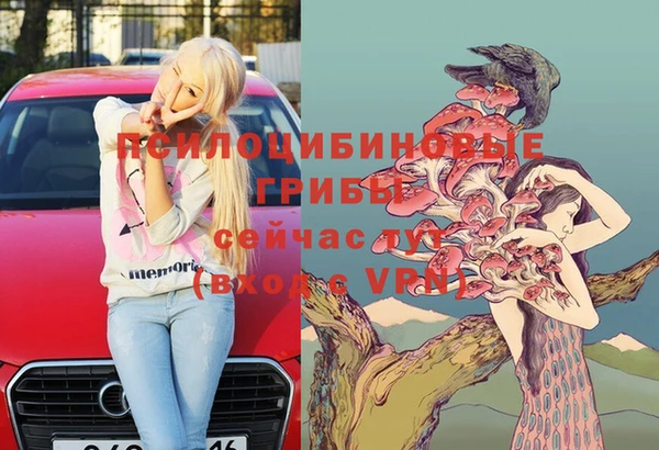 твердый Горнозаводск