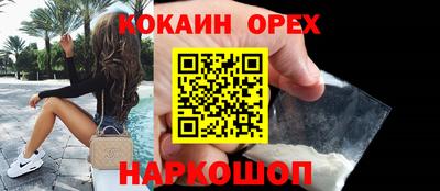дмт Аргун
