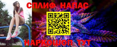 дмт Аргун