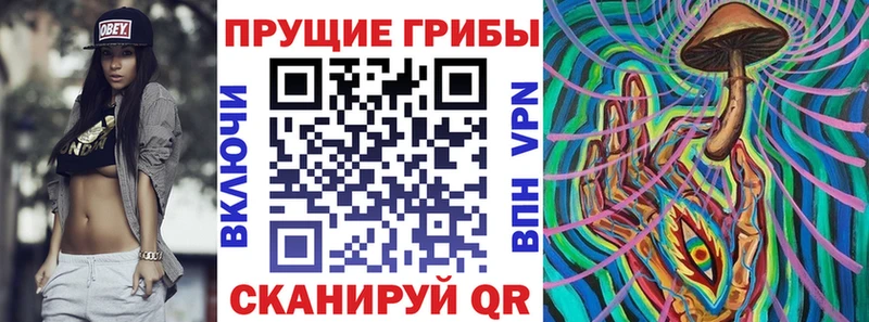 Галлюциногенные грибы мицелий  blacksprut рабочий сайт  Дивногорск 