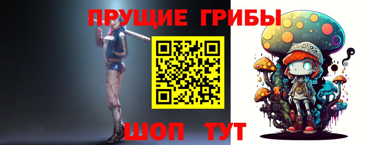 даркнет сайт  Вход с VPN  Дивногорск  Псилоцибиновые грибы мицелий 
